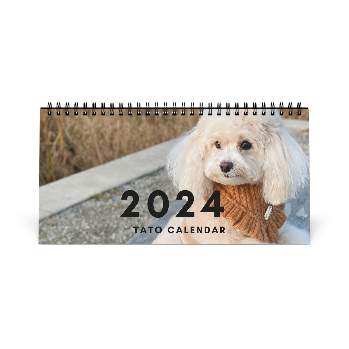 2024 Tato Desk Calendar