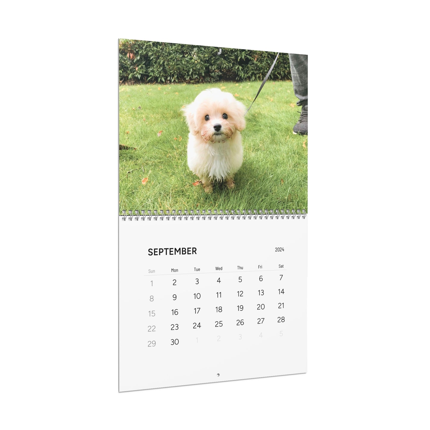 Tato 2024 Wall Calendar