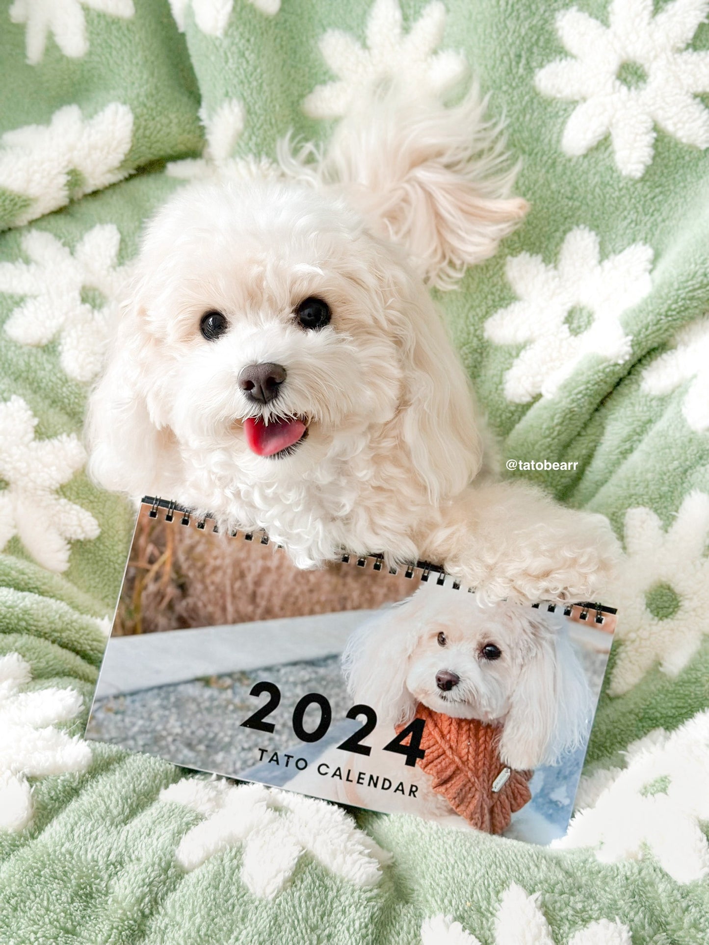 2024 Tato Desk Calendar